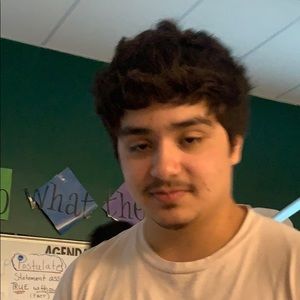 Meet your Posher, Brady